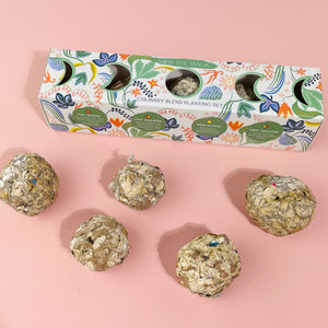 Moon Phase Culinary Seed Ball Planting Set